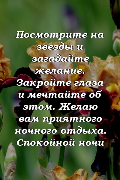 Посмотрите на звезды и загадайте желание. Закройте глаза и мечтайте об этом. Желаю вам приятного ночного отдыха. Спокойной ночи