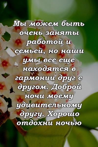 Мы можем быть очень заняты работой и семьей, но наши умы все еще находятся в гармонии друг с другом. Доброй ночи моему удивительному другу. Хорошо отдохни ночью