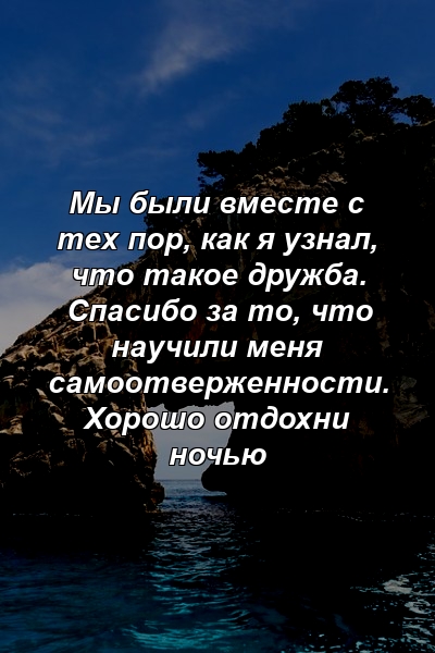 Мы были вместе с тех пор, как я узнал, что такое дружба. Спасибо за то, что научили меня самоотверженности. Хорошо отдохни ночью