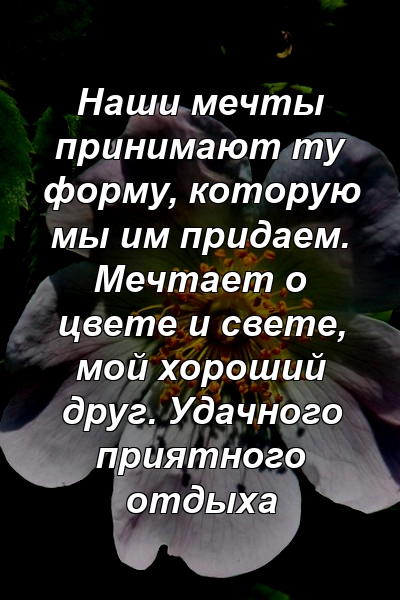 Наши мечты принимают ту форму, которую мы им придаем. Мечтает о цвете и свете, мой хороший друг. Удачного приятного отдыха