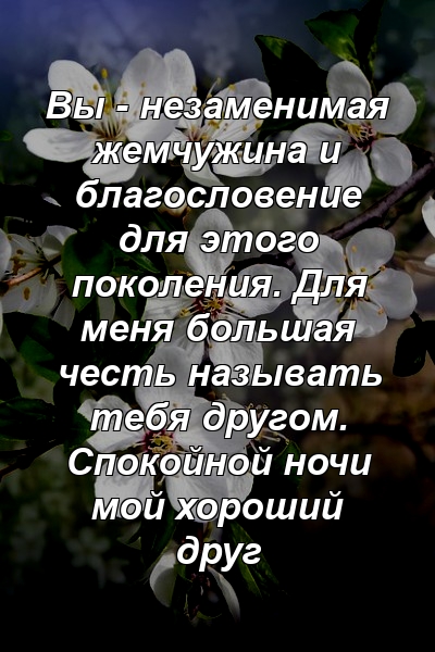 Вы - незаменимая жемчужина и благословение для этого поколения. Для меня большая честь называть тебя другом. Спокойной ночи мой хороший друг