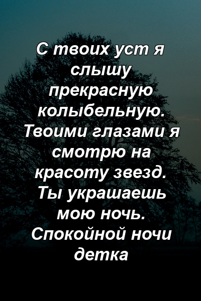 С твоих уст я слышу прекрасную колыбельную. Твоими глазами я смотрю на красоту звезд. Ты украшаешь мою ночь. Спокойной ночи детка