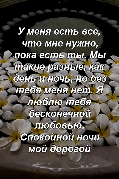 У меня есть все, что мне нужно, пока есть ты. Мы такие разные, как день и ночь, но без тебя меня нет. Я люблю тебя бесконечной любовью. Спокойной ночи мой дорогой