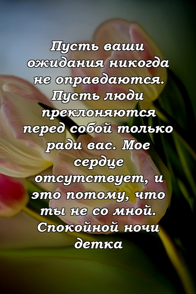 Пусть ваши ожидания никогда не оправдаются. Пусть люди преклоняются перед собой только ради вас. Мое сердце отсутствует, и это потому, что ты не со мной. Спокойной ночи детка