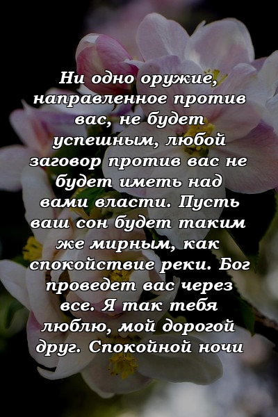 Ни одно оружие, направленное против вас, не будет успешным, любой заговор против вас не будет иметь над вами власти. Пусть ваш сон будет таким же мирным, как спокойствие реки. Бог проведет вас через все. Я так тебя люблю, мой дорогой друг. Спокойной ночи