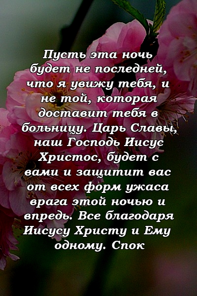 Пусть эта ночь будет не последней, что я увижу тебя, и не той, которая доставит тебя в больницу. Царь Славы, наш Господь Иисус Христос, будет с вами и защитит вас от всех форм ужаса врага этой ночью и впредь. Все благодаря Иисусу Христу и Ему одному. Спок