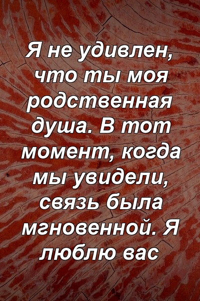 Я не удивлен, что ты моя родственная душа. В тот момент, когда мы увидели, связь была мгновенной. Я люблю вас