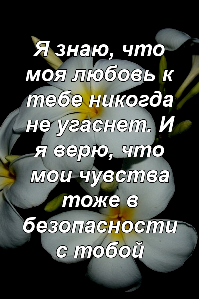 Я знаю, что моя любовь к тебе никогда не угаснет. И я верю, что мои чувства тоже в безопасности с тобой