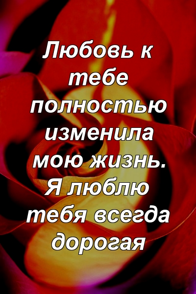 Любовь к тебе полностью изменила мою жизнь. Я люблю тебя всегда дорогая