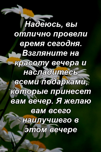 Надеюсь, вы отлично провели время сегодня. Взгляните на красоту вечера и насладитесь всеми подарками, которые принесет вам вечер. Я желаю вам всего наилучшего в этом вечере