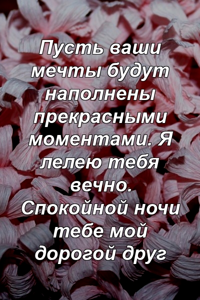 Пусть ваши мечты будут наполнены прекрасными моментами. Я лелею тебя вечно. Спокойной ночи тебе мой дорогой друг