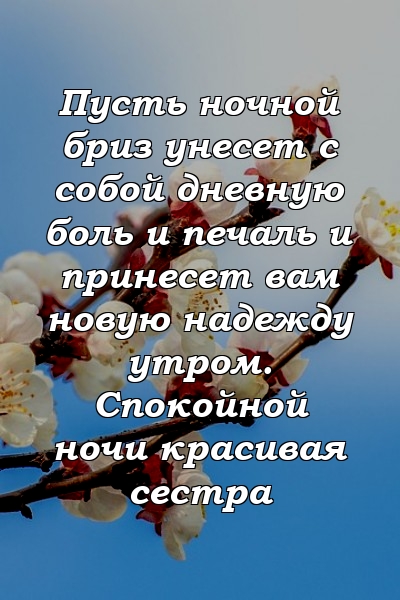 Пусть ночной бриз унесет с собой дневную боль и печаль и принесет вам новую надежду утром. Спокойной ночи красивая сестра