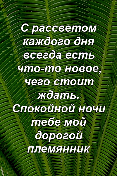 С рассветом каждого дня всегда есть что-то новое, чего стоит ждать. Спокойной ночи тебе мой дорогой племянник