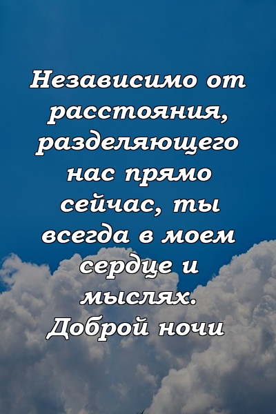 Независимо от расстояния, разделяющего нас прямо сейчас, ты всегда в моем сердце и мыслях. Доброй ночи