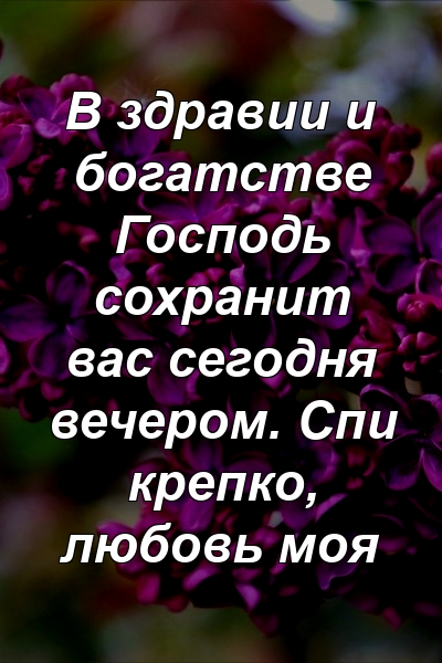 В здравии и богатстве Господь сохранит вас сегодня вечером. Спи крепко, любовь моя