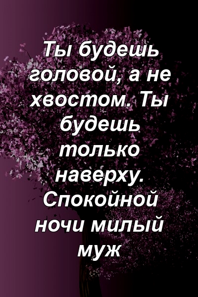 Ты будешь головой, а не хвостом. Ты будешь только наверху. Спокойной ночи милый муж