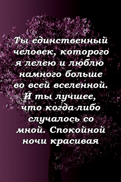 Ты единственный человек, которого я лелею и люблю намного больше во всей вселенной. И ты лучшее, что когда-либо случалось со мной. Спокойной ночи красивая