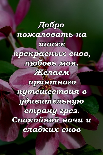 Добро пожаловать на шоссе прекрасных снов, любовь моя. Желаем приятного путешествия в удивительную страну грез. Спокойной ночи и сладких снов