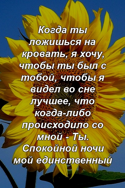 Когда ты ложишься на кровать, я хочу, чтобы ты был с тобой, чтобы я видел во сне лучшее, что когда-либо происходило со мной - Ты. Спокойной ночи мой единственный