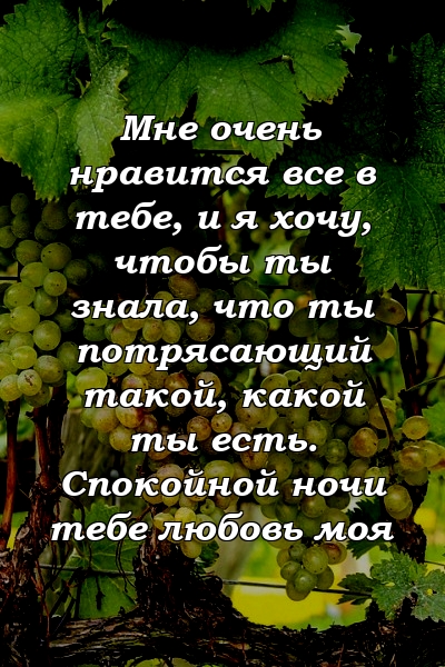 Мне очень нравится все в тебе, и я хочу, чтобы ты знала, что ты потрясающий такой, какой ты есть. Спокойной ночи тебе любовь моя