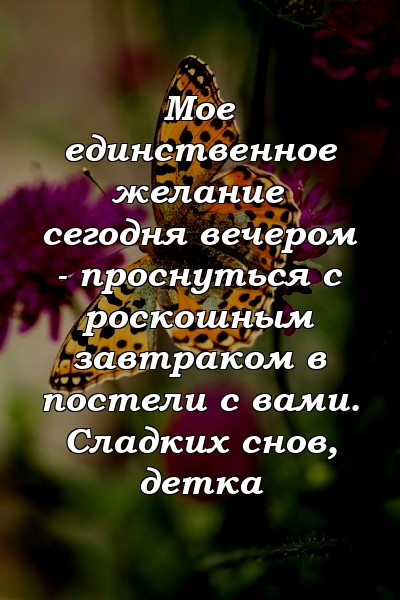 Мое единственное желание сегодня вечером - проснуться с роскошным завтраком в постели с вами. Сладких снов, детка