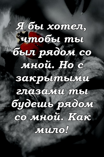 Я бы хотел, чтобы ты был рядом со мной. Но с закрытыми глазами ты будешь рядом со мной. Как мило!