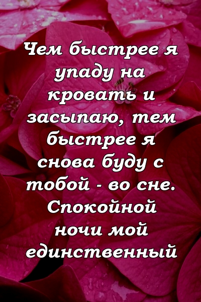 Чем быстрее я упаду на кровать и засыпаю, тем быстрее я снова буду с тобой - во сне. Спокойной ночи мой единственный