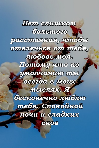 Нет слишком большого расстояния, чтобы отвлечься от тебя, любовь моя. Потому что по умолчанию ты всегда в моих мыслях. Я бесконечно люблю тебя. Спокойной ночи и сладких снов