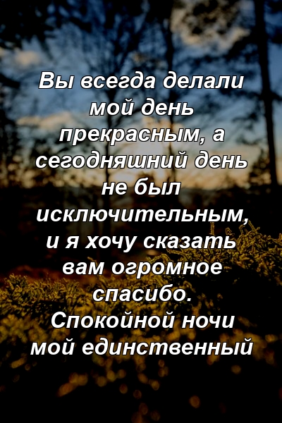 Вы всегда делали мой день прекрасным, а сегодняшний день не был исключительным, и я хочу сказать вам огромное спасибо. Спокойной ночи мой единственный