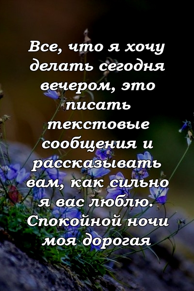 Все, что я хочу делать сегодня вечером, это писать текстовые сообщения и рассказывать вам, как сильно я вас люблю. Спокойной ночи моя дорогая