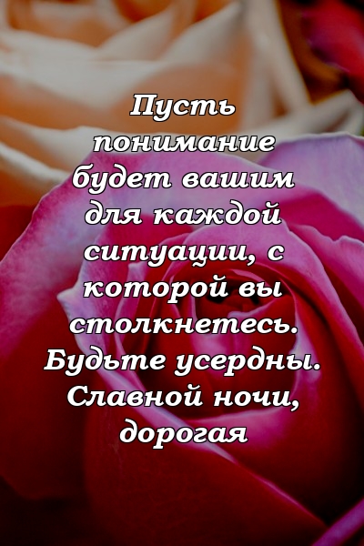 Пусть понимание будет вашим для каждой ситуации, с которой вы столкнетесь. Будьте усердны. Славной ночи, дорогая