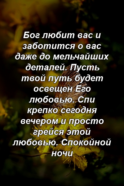 Бог любит вас и заботится о вас даже до мельчайших деталей. Пусть твой путь будет освещен Его любовью. Спи крепко сегодня вечером и просто грейся этой любовью. Спокойной ночи