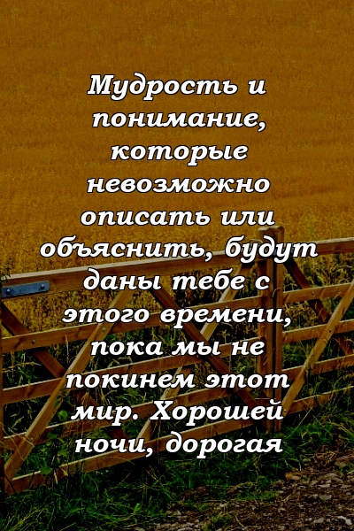 Мудрость и понимание, которые невозможно описать или объяснить, будут даны тебе с этого времени, пока мы не покинем этот мир. Хорошей ночи, дорогая