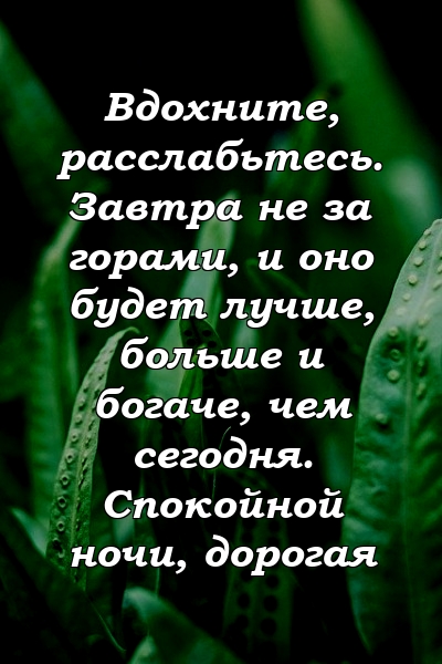 Вдохните, расслабьтесь. Завтра не за горами, и оно будет лучше, больше и богаче, чем сегодня. Спокойной ночи, дорогая