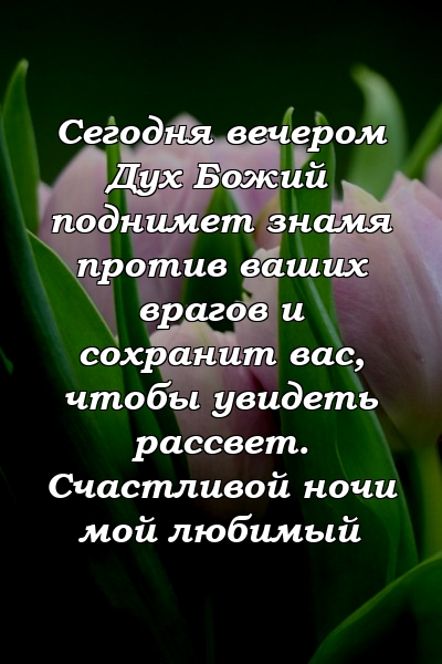 Сегодня вечером Дух Божий поднимет знамя против ваших врагов и сохранит вас, чтобы увидеть рассвет. Счастливой ночи мой любимый