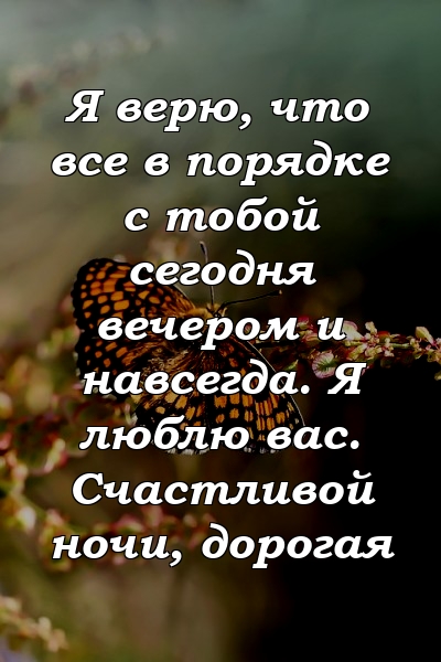 Я верю, что все в порядке с тобой сегодня вечером и навсегда. Я люблю вас. Счастливой ночи, дорогая