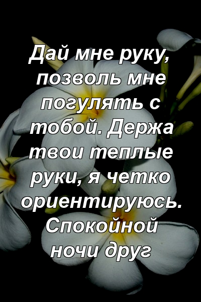 Дай мне руку, позволь мне погулять с тобой. Держа твои теплые руки, я четко ориентируюсь. Спокойной ночи друг