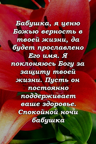 Бабушка, я ценю Божью верность в твоей жизни, да будет прославлено Его имя. Я поклоняюсь Богу за защиту твоей жизни. Пусть он постоянно поддерживает ваше здоровье. Спокойной ночи бабушка