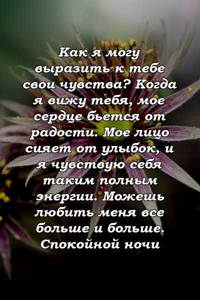 Как я могу выразить к тебе свои чувства? Когда я вижу тебя, мое сердце бьется от радости. Мое лицо сияет от улыбок, и я чувствую себя таким полным энергии. Можешь любить меня все больше и больше. Спокойной ночи