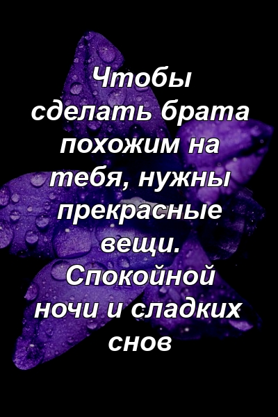 Чтобы сделать брата похожим на тебя, нужны прекрасные вещи. Спокойной ночи и сладких снов