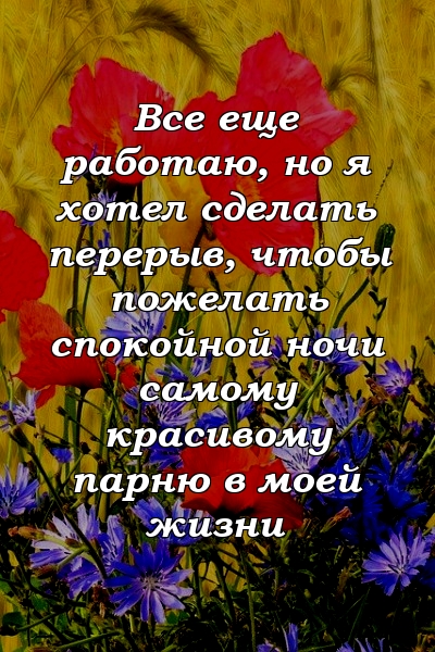 Все еще работаю, но я хотел сделать перерыв, чтобы пожелать спокойной ночи самому красивому парню в моей жизни