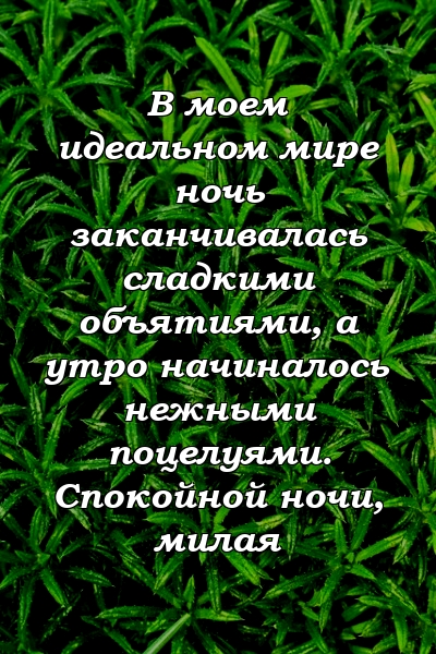 В моем идеальном мире ночь заканчивалась сладкими объятиями, а утро начиналось нежными поцелуями. Спокойной ночи, милая