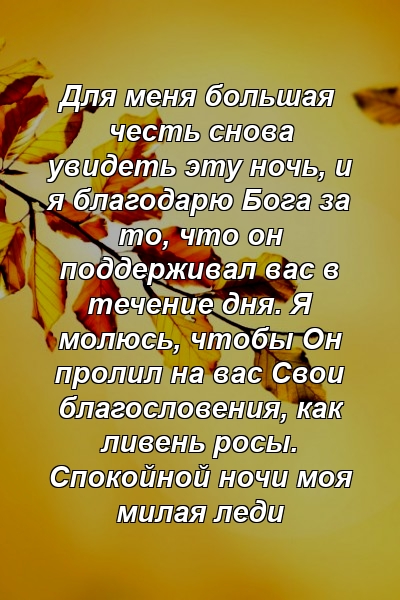 Для меня большая честь снова увидеть эту ночь, и я благодарю Бога за то, что он поддерживал вас в течение дня. Я молюсь, чтобы Он пролил на вас Свои благословения, как ливень росы. Спокойной ночи моя милая леди