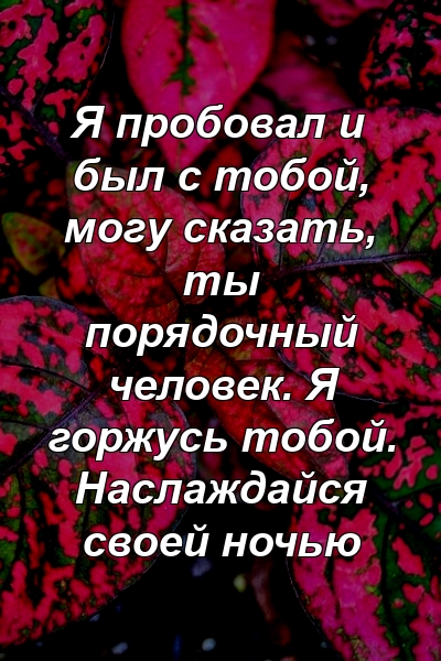 Я пробовал и был с тобой, могу сказать, ты порядочный человек. Я горжусь тобой. Наслаждайся своей ночью