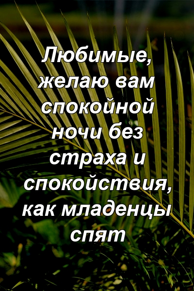 Любимые, желаю вам спокойной ночи без страха и спокойствия, как младенцы спят