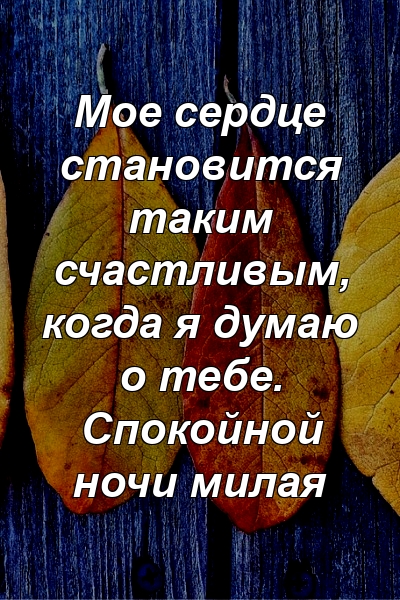 Мое сердце становится таким счастливым, когда я думаю о тебе. Спокойной ночи милая