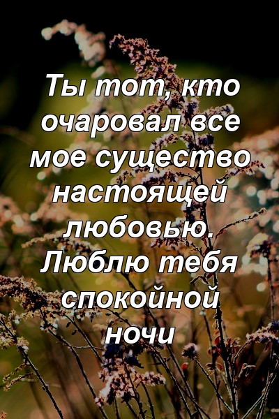 Ты тот, кто очаровал все мое существо настоящей любовью. Люблю тебя спокойной ночи