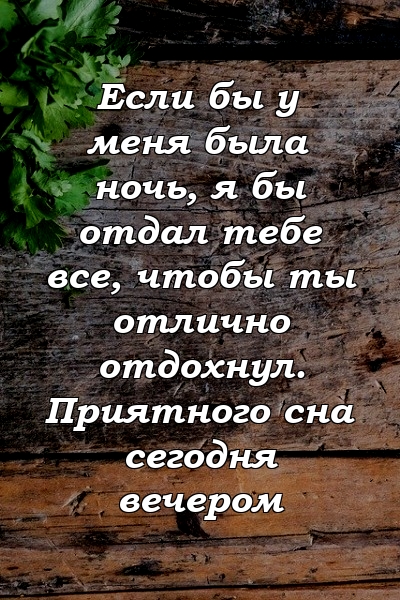 Если бы у меня была ночь, я бы отдал тебе все, чтобы ты отлично отдохнул. Приятного сна сегодня вечером