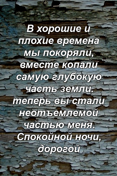 В хорошие и плохие времена мы покоряли, вместе копали самую глубокую часть земли. теперь вы стали неотъемлемой частью меня. Спокойной ночи, дорогой