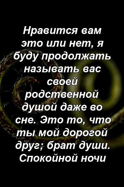 Нравится вам это или нет, я буду продолжать называть вас своей родственной душой даже во сне. Это то, что ты мой дорогой друг; брат души. Спокойной ночи